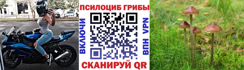 где найти   Алатырь  Галлюциногенные грибы ЛСД 