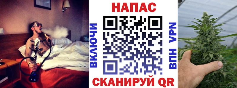 Каннабис SATIVA & INDICA  Алатырь 